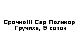 Срочно!!! Сад Поликор- Гручиха, 9 соток